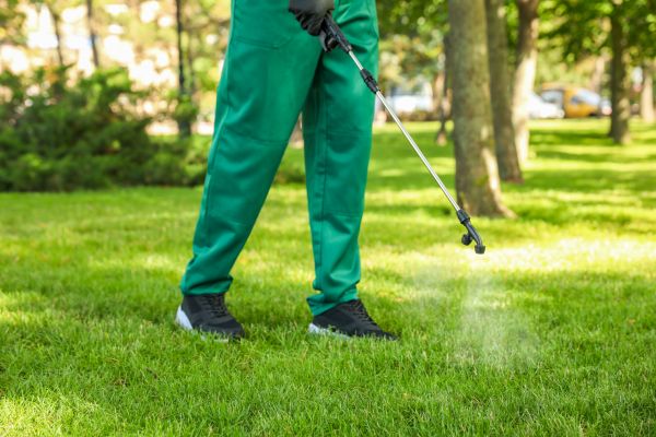 Franklin Lawn Treatment