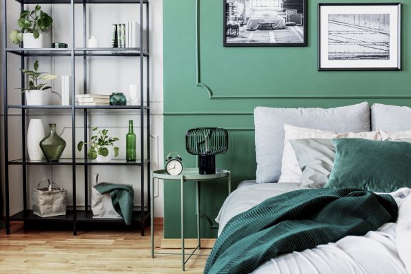 Franklin Interior Painting