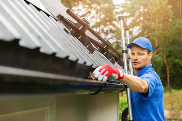 Franklin Gutter Cleaning